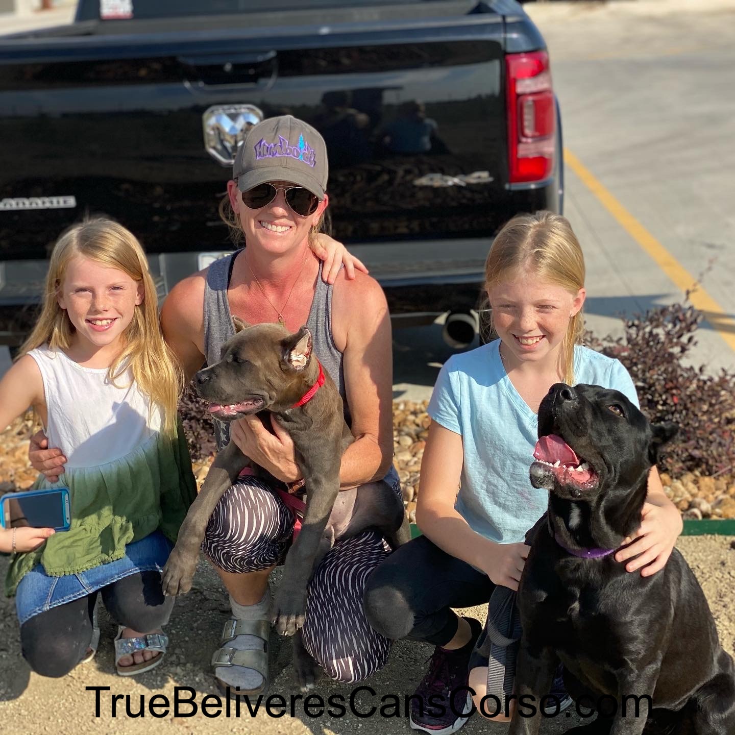 True Believers Cane Corso customer photo - cancorsofamily1