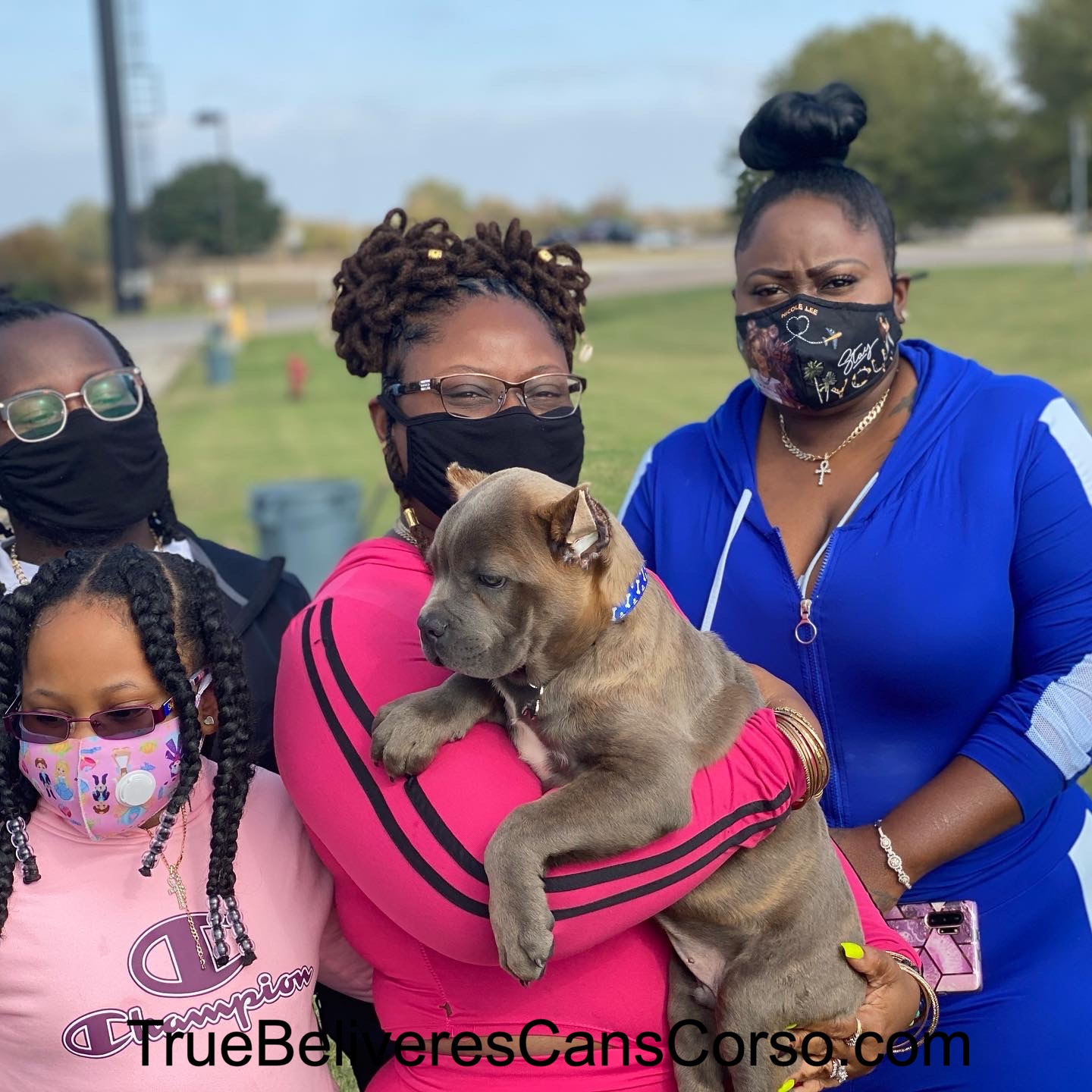 True Believers Cane Corso customer photo - cancorsofamily2