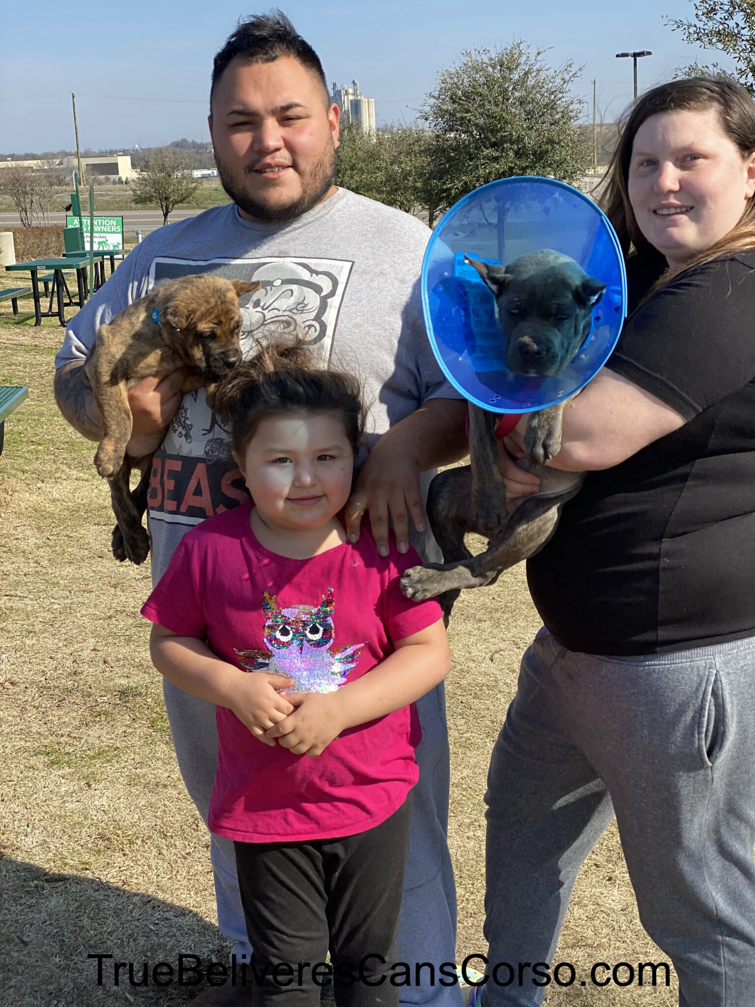 True Believers Cane Corso customer photo - cancorsofamily4