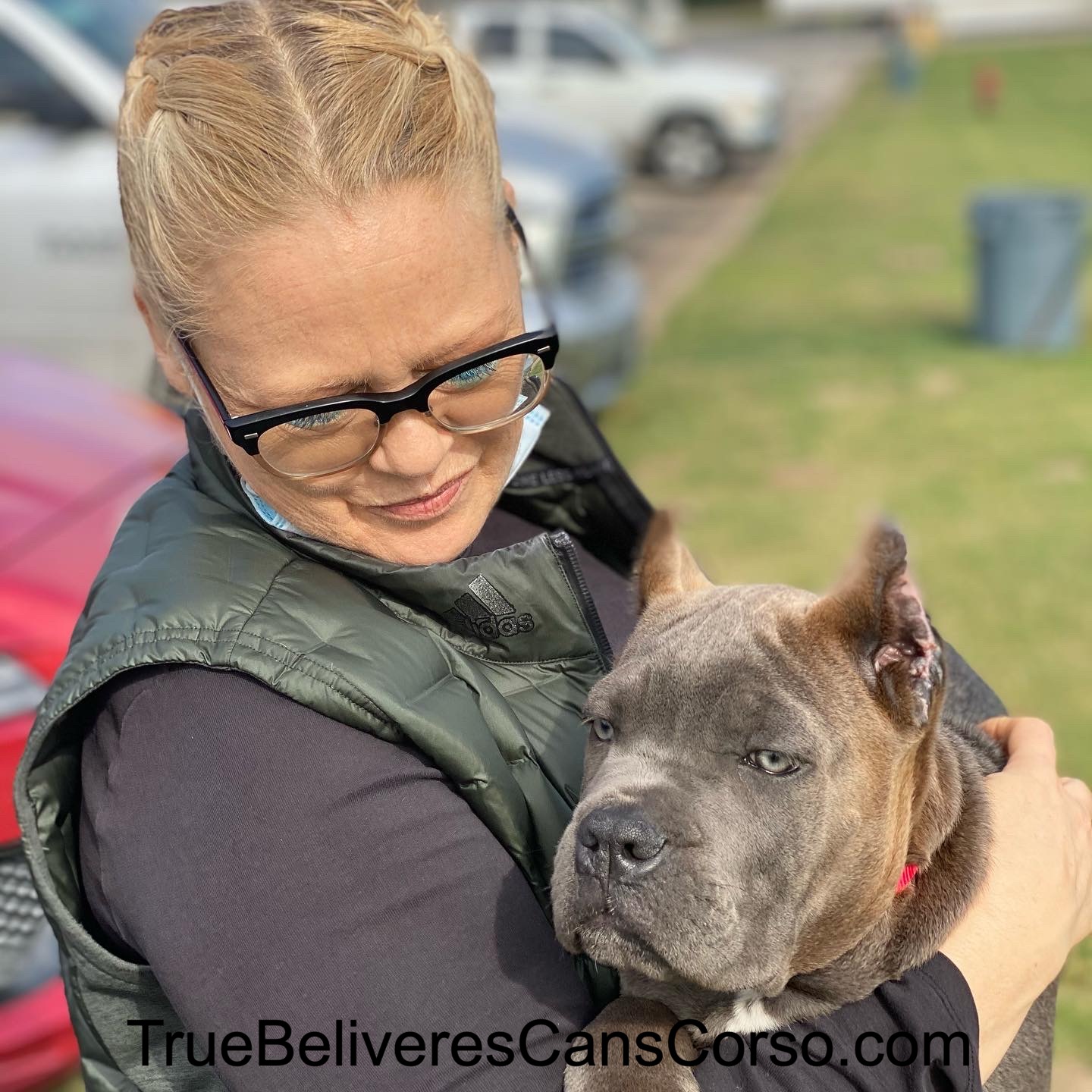 True Believers Cane Corso customer photo - cancorsofamily5