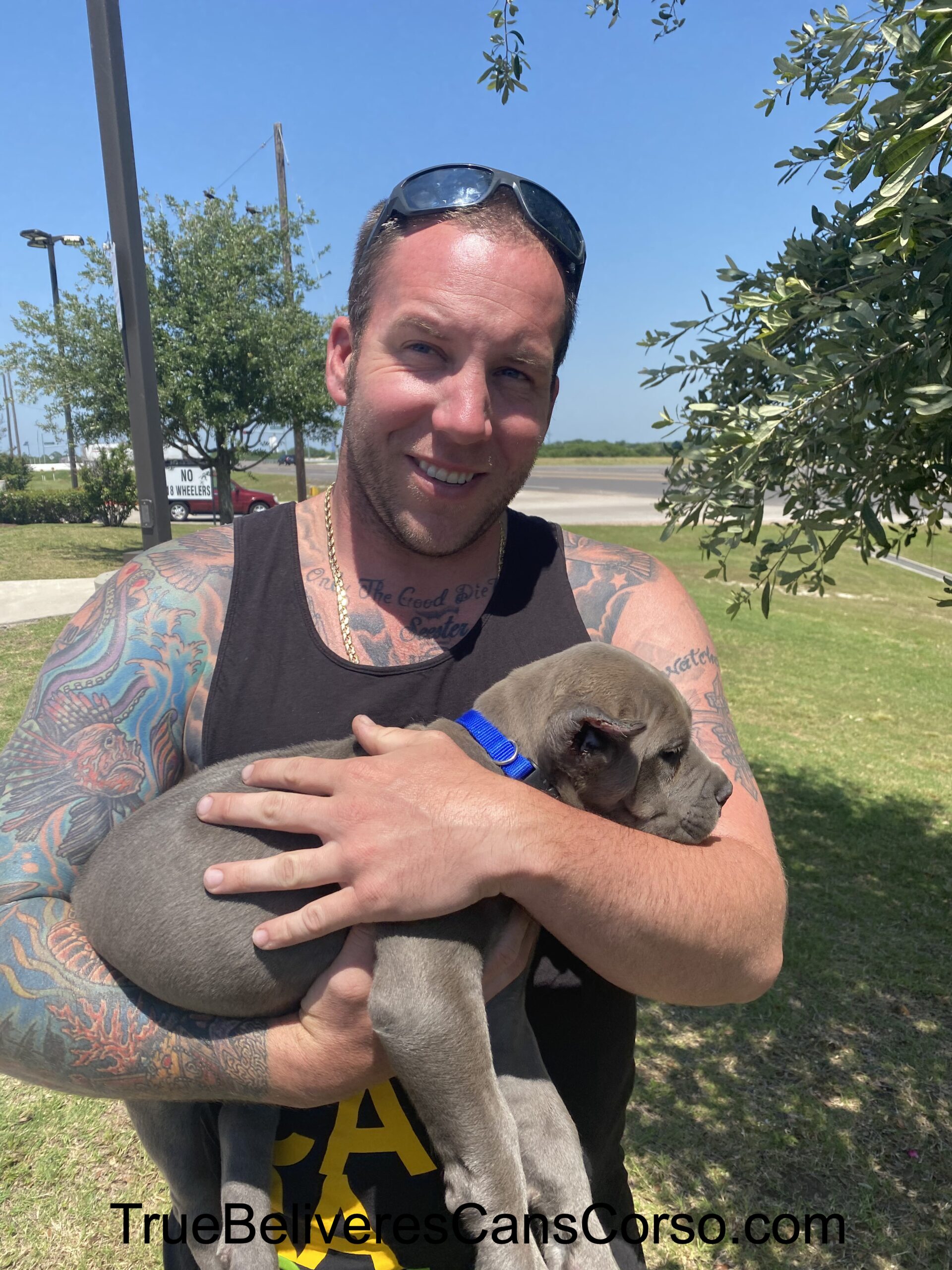 True Believers Cane Corso customer photo - canecorsofamily.9