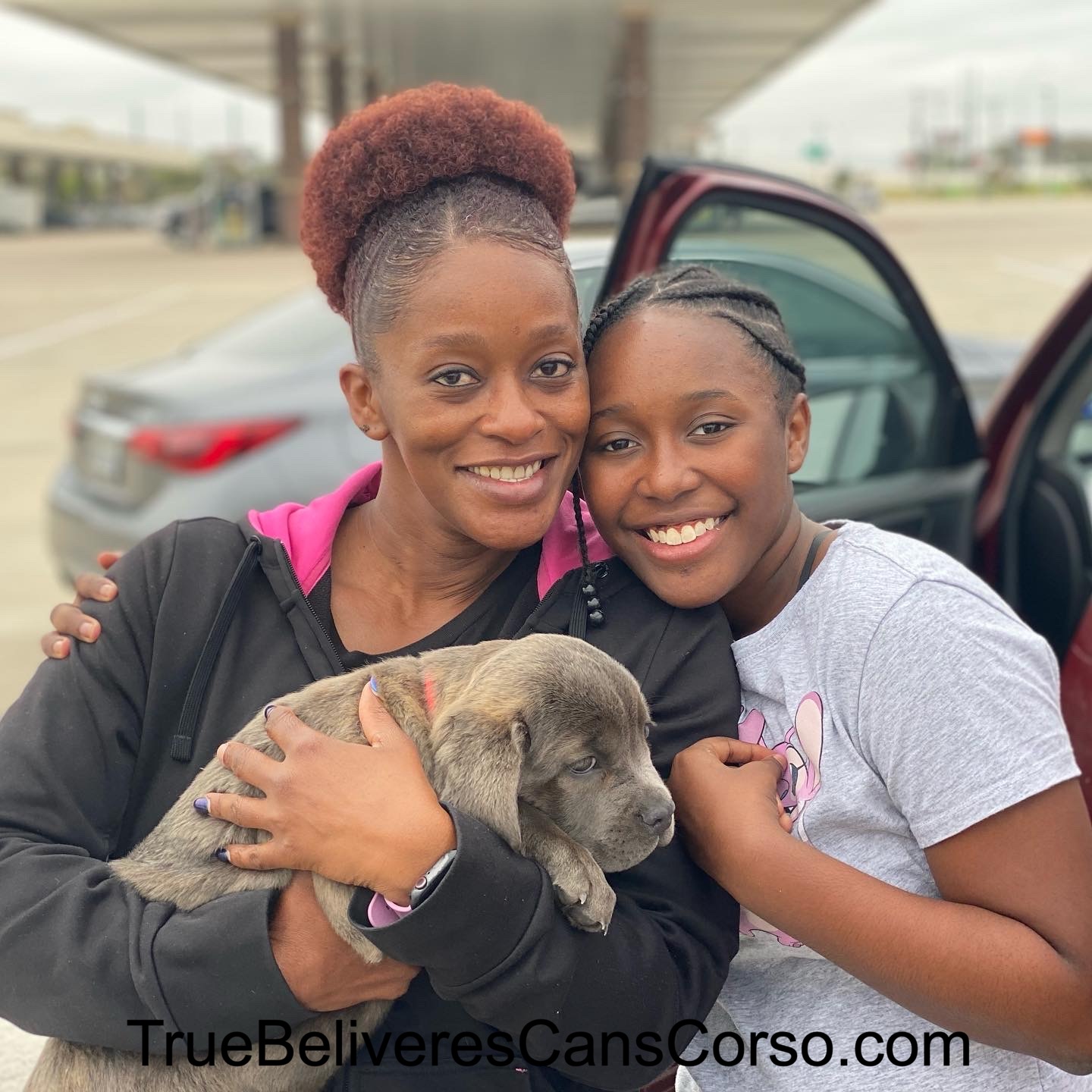True Believers Cane Corso customer photo - canecorsofamily7